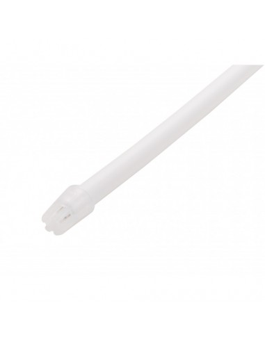 Σιελαντλίες - Λευκές